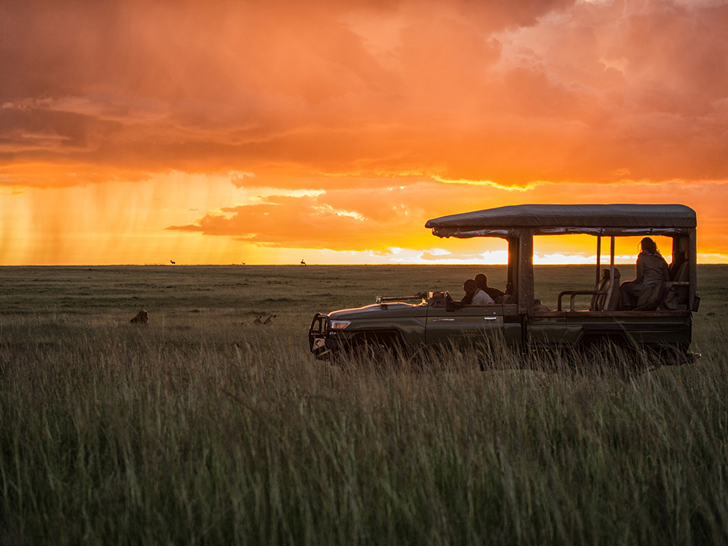 Great Plains Mara